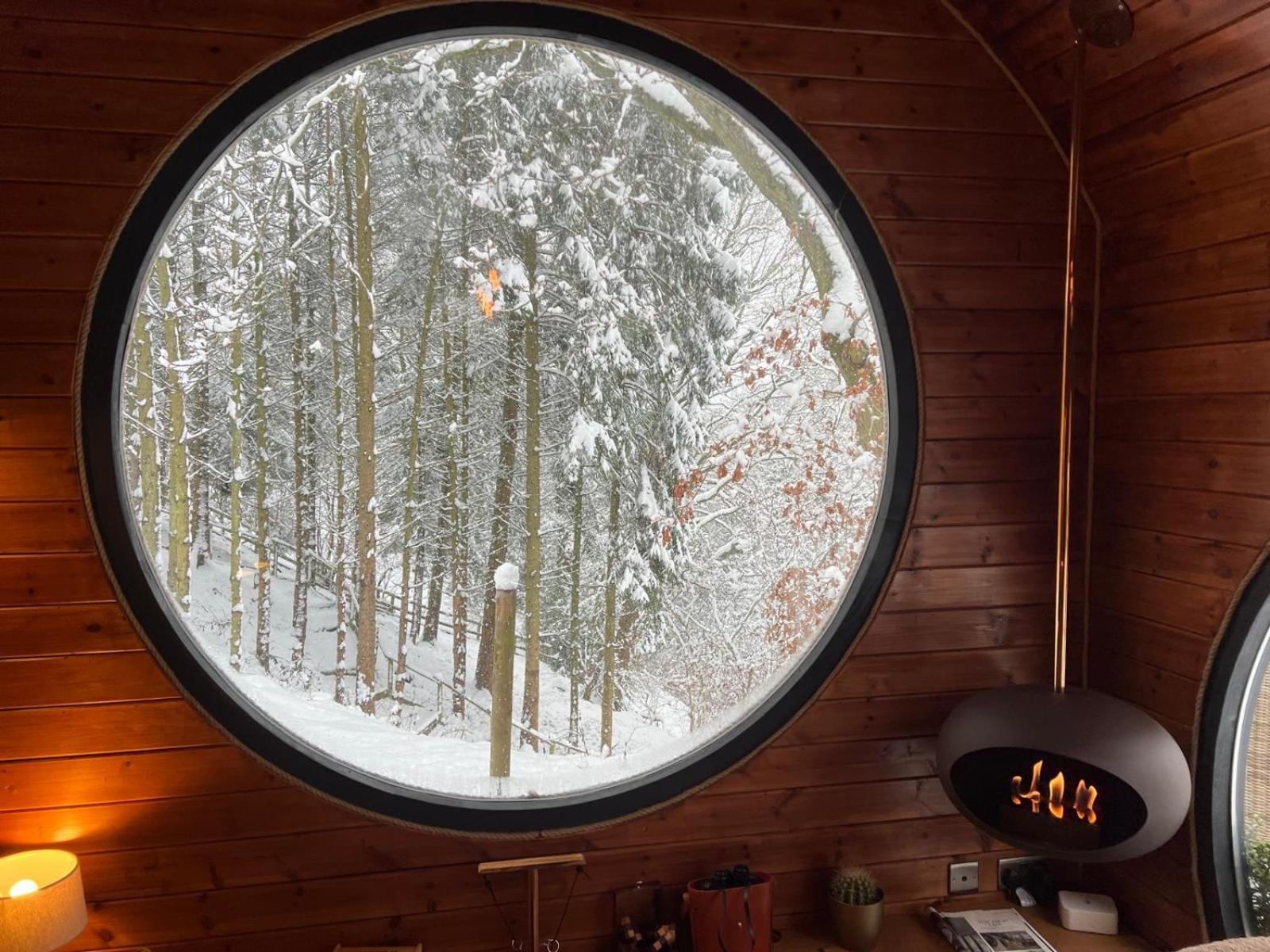 The Pines Treehouse At Treetops Hideouts 리치먼드 외부 사진