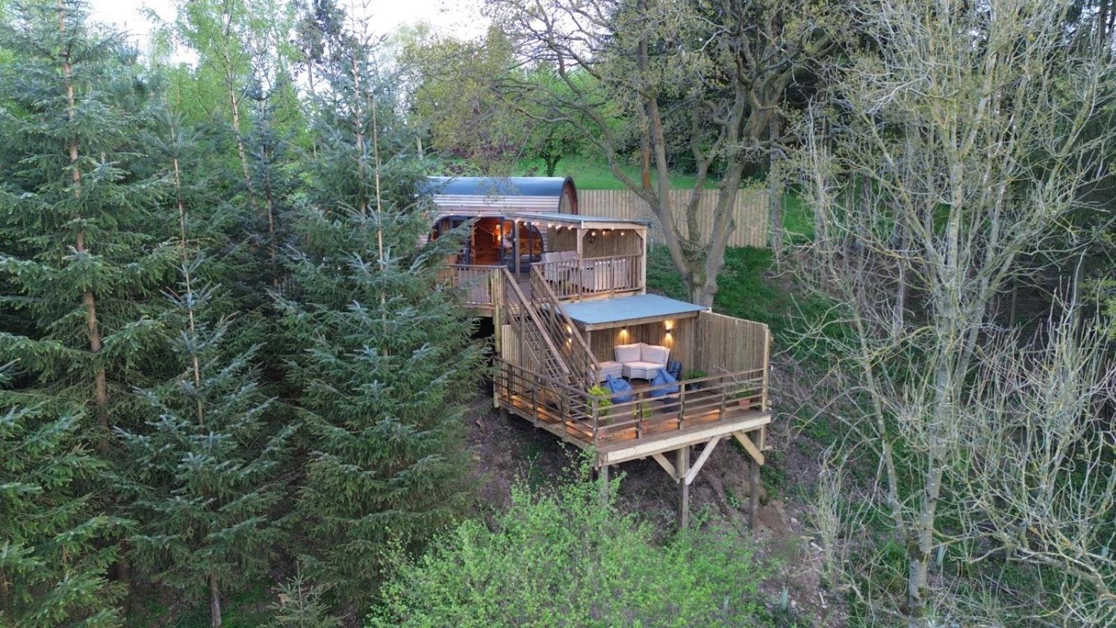 The Pines Treehouse At Treetops Hideouts 리치먼드 외부 사진
